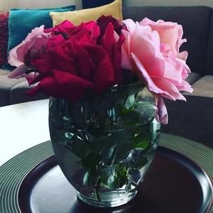 Meet your Posher, Jeina